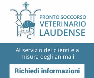 adv-pronto-soccorso-veterinario-laudense.jpg