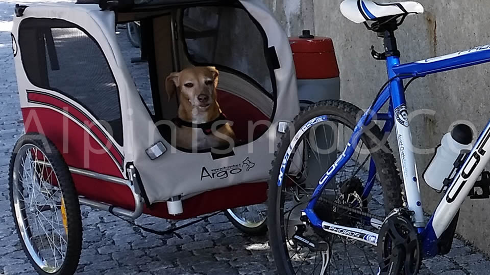 08-viaggiare-cane-mountain-bike