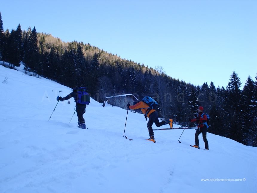 pertichette - verso il rifugio Cimon della Bagozza