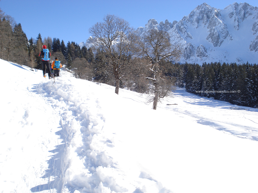 Verso il rifugio Cimon della Bagozza