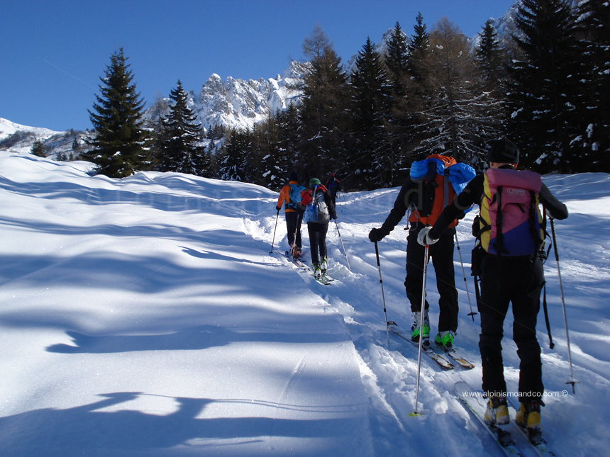 Verso il rifugio Cimon della Bagozza