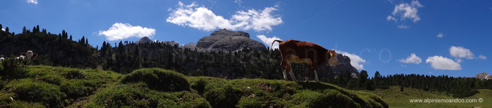 Rifugio Fodara Vedla