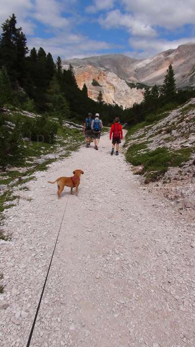 Rifugio Fodara Vedla